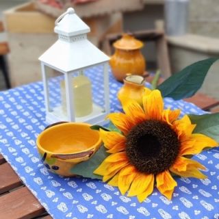 Le marché provençal des producteurs