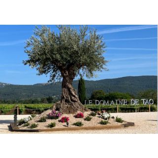 Domaine Tao & des écuries Gombert
